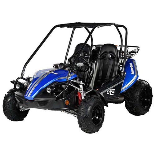 BUG GTS 150