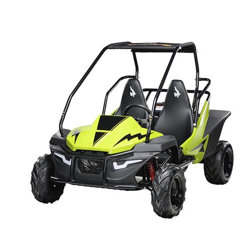 MINI BUGGY MUDHEAD SE
